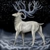 deer.jpg