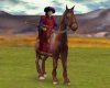 MountedMerchant.JPG
