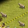 cows.jpg