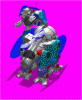 quadandwar.gif