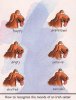 irish-setter-moods.jpg