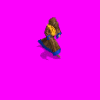 fanaticrun.gif