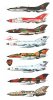 MIG-21(Y4).jpg