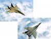 Mig 29 Skins.jpg