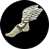 wingedtrackshoe.png