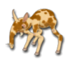 Bweeledeer.png