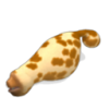 START.png