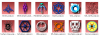 Factions.png