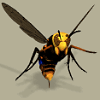 KillerHornetImage.png