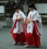 Miko02.jpg