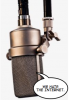 mic3.png