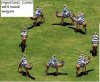 camel.JPG