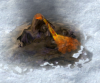 Volcano_FF.png