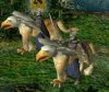 griffin knight.jpg