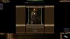Gyr-says-1.jpg