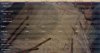 2400BC T40 Demog.jpg