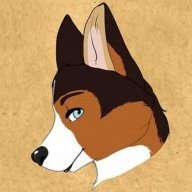 CleverCorgi