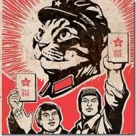 MeowZedong