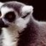 Ringtailed
