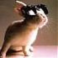 BunnyWabbit