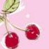 cherrysnowdrop