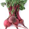 DirtyBeets