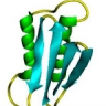 Prion
