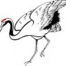 Conreg