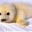 sealboy6