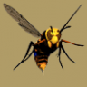 Killer Hornet and Hornet Nest Wonder
