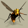 No CIV Specific Color Killer Hornet and Wonder