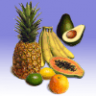 Tropical Fruit Resource