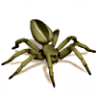 Monster Spider