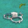 Fish Farm