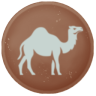 Camel Religion