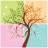 RPP Seasons