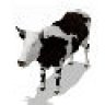 for C3X Districts black and white cow in motion