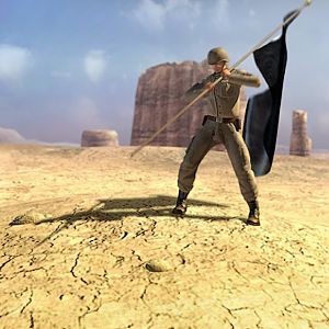 Soldier w/ a Flag