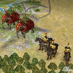 Elephants and more