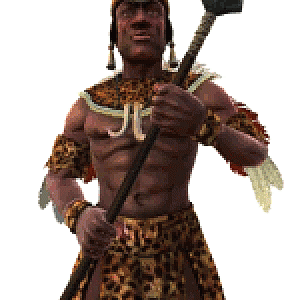 Transparent Shaka