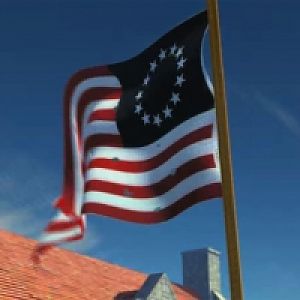 Flag Medium