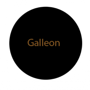 Galleon Icon Holding